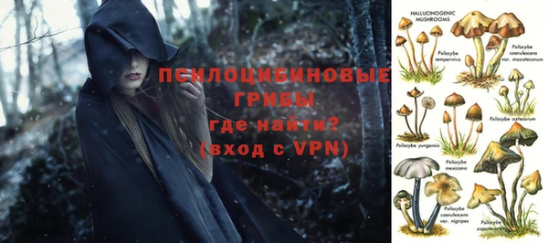 винт Слюдянка