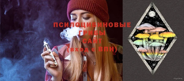 ПСИЛОЦИБИНОВЫЕ ГРИБЫ Заволжск