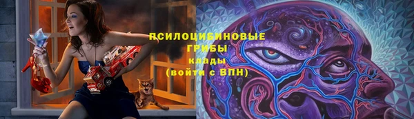 синтетический гашиш Заводоуковск