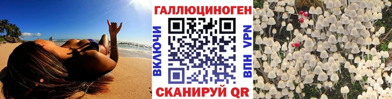 Купить где  Кимры  Псилоцибиновые грибы Psilocybe 